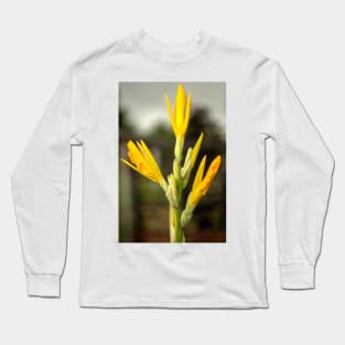 oli daffodils Long Sleeve T-Shirt